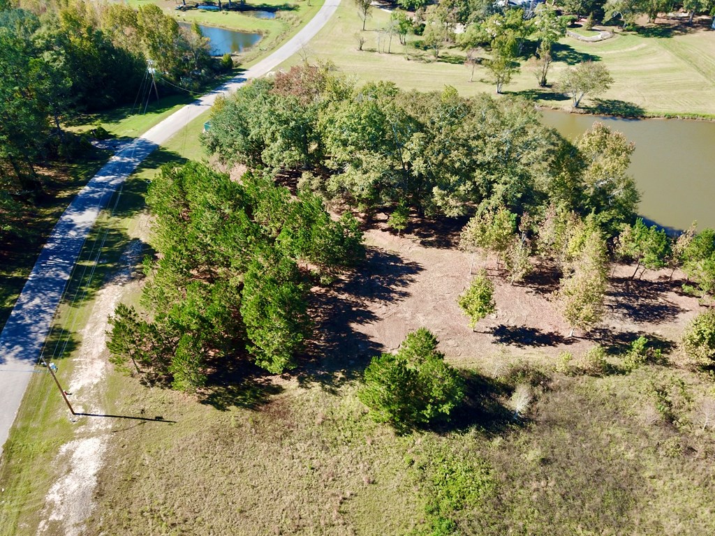 1.327 Acres Crimson Rd, Cowarts, Alabama image 10