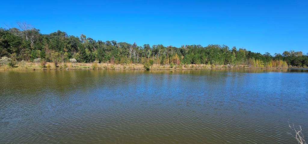 1.327 Acres Crimson Rd, Cowarts, Alabama image 2