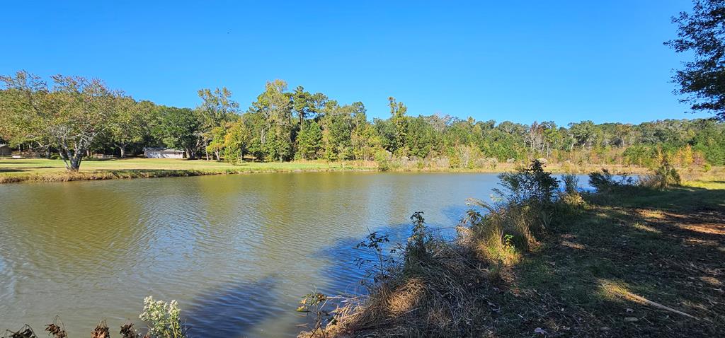 1.327 Acres Crimson Rd, Cowarts, Alabama image 27