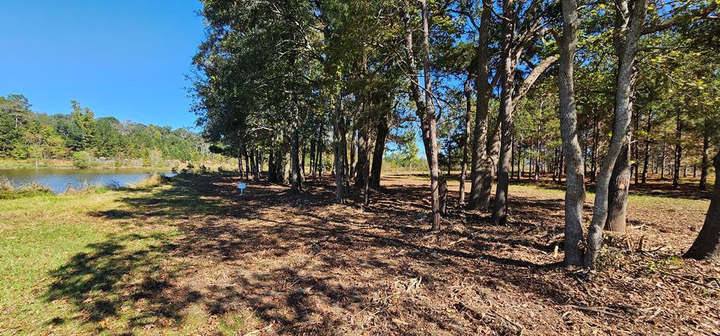 1.327 Acres Crimson Rd, Cowarts, Alabama image 26