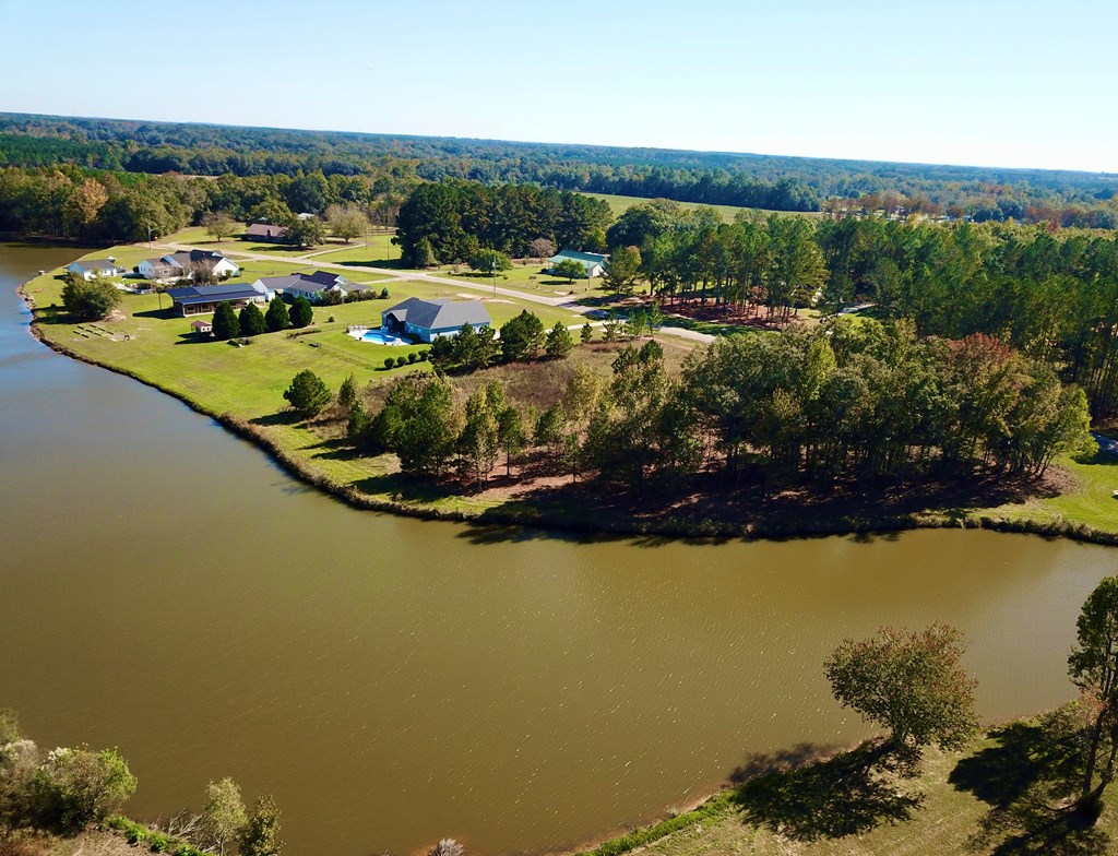 1.327 Acres Crimson Rd, Cowarts, Alabama image 14