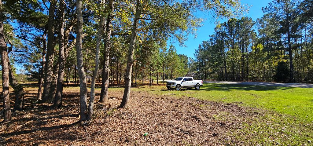 1.327 Acres Crimson Rd, Cowarts, Alabama image 25