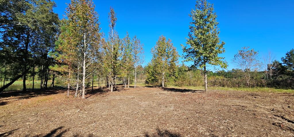 1.327 Acres Crimson Rd, Cowarts, Alabama image 29