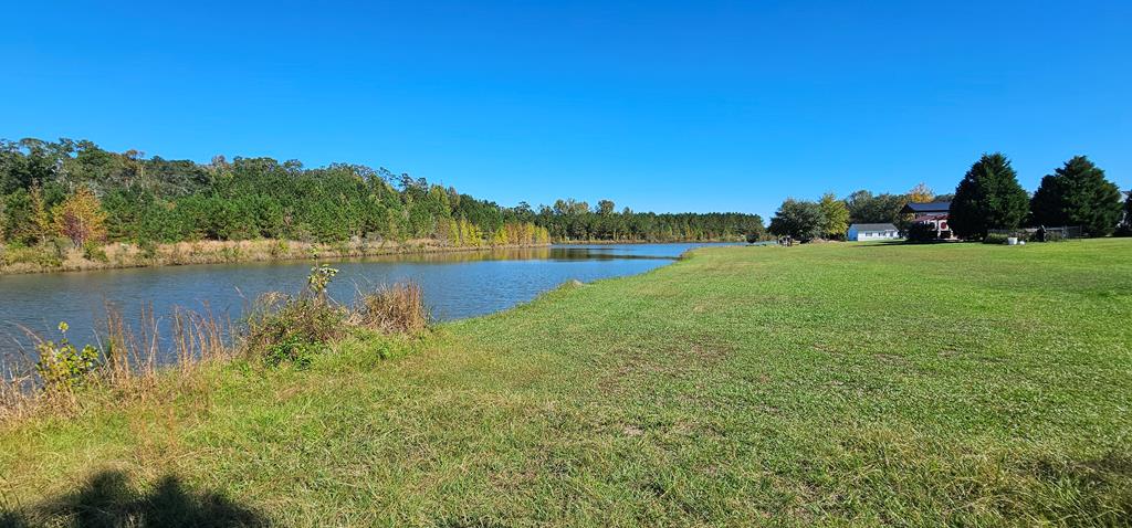 1.327 Acres Crimson Rd, Cowarts, Alabama image 16