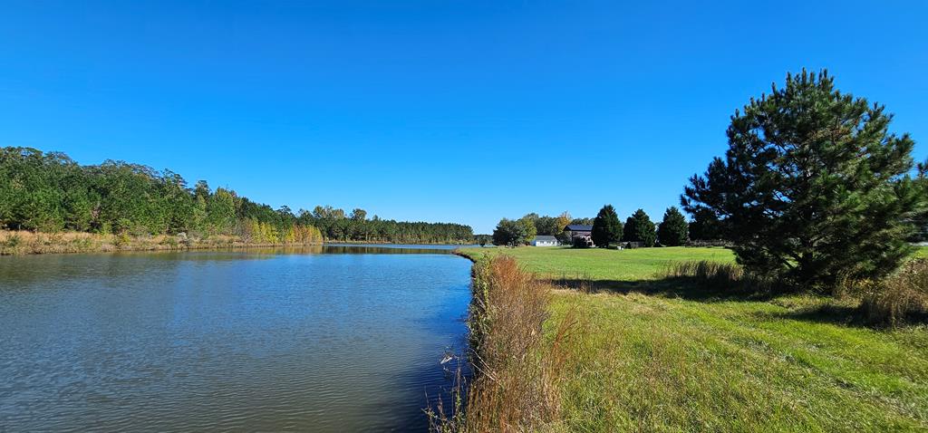 1.327 Acres Crimson Rd, Cowarts, Alabama image 17