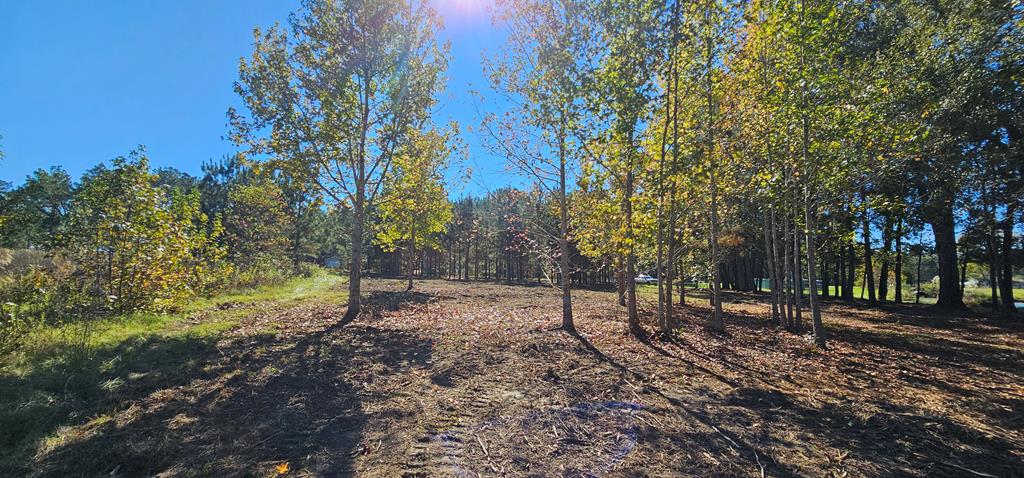1.327 Acres Crimson Rd, Cowarts, Alabama image 3