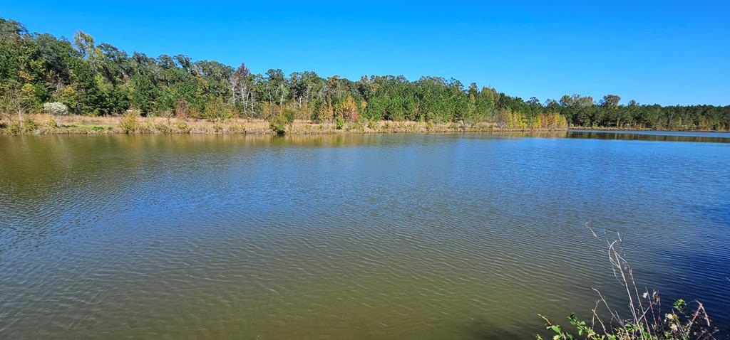 1.327 Acres Crimson Rd, Cowarts, Alabama image 18