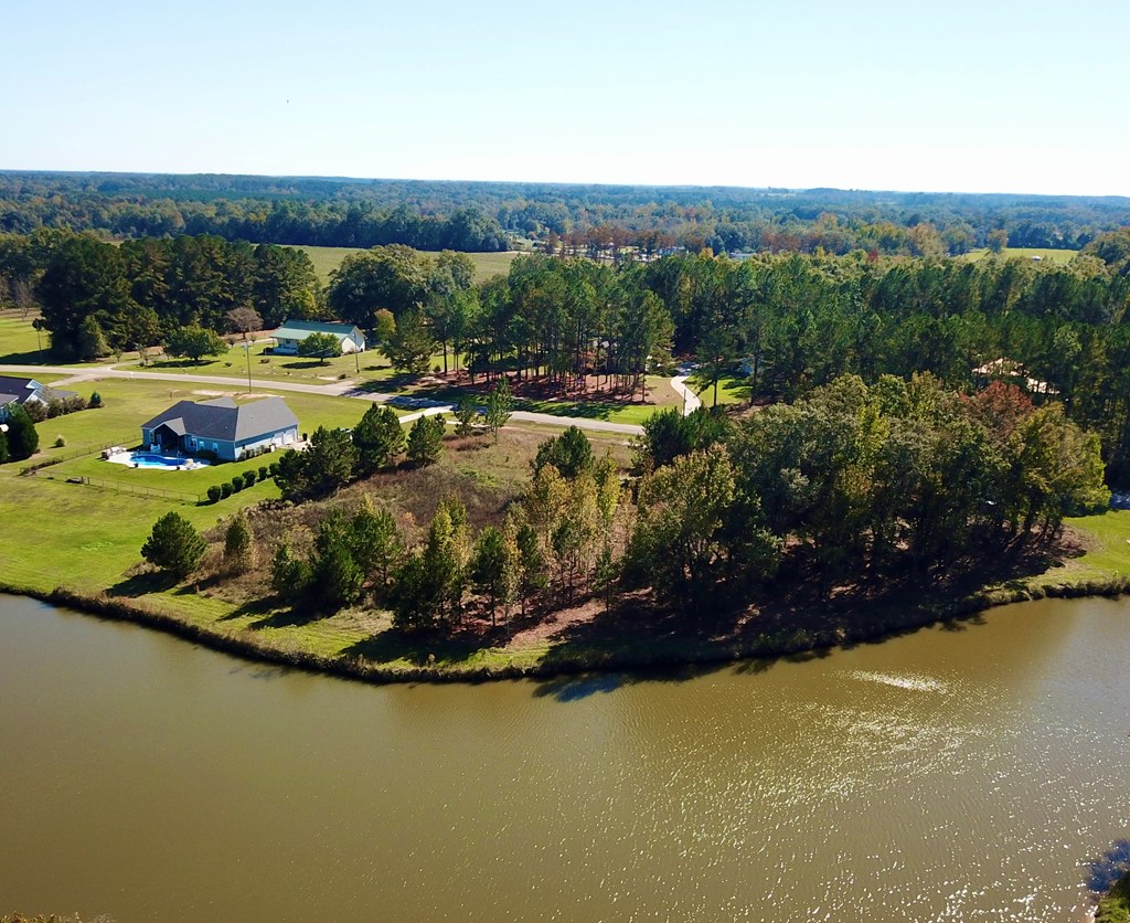 1.327 Acres Crimson Rd, Cowarts, Alabama image 13