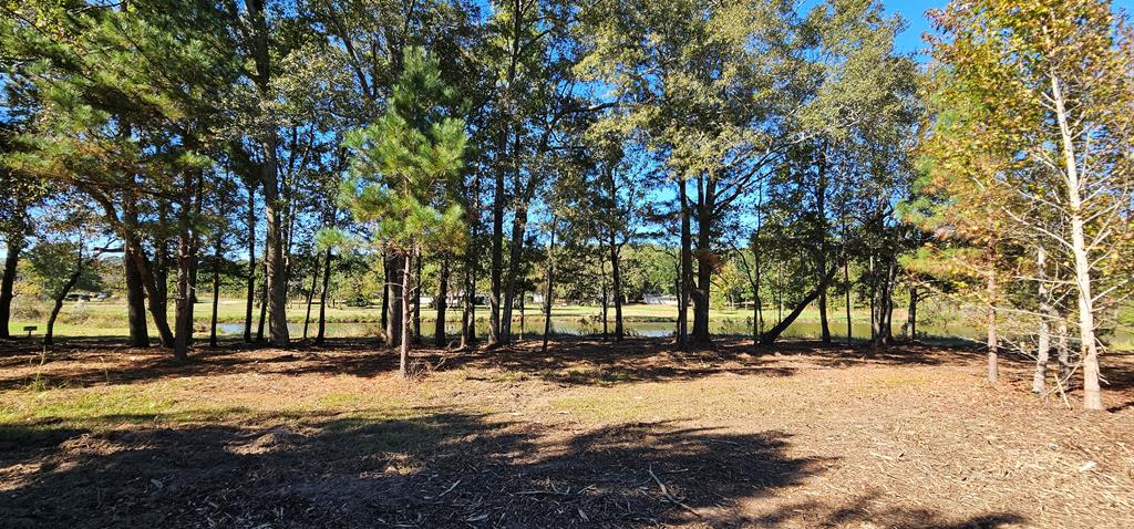 1.327 Acres Crimson Rd, Cowarts, Alabama image 28