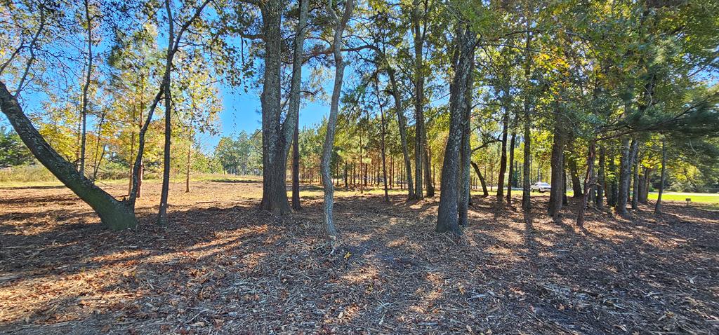 1.327 Acres Crimson Rd, Cowarts, Alabama image 24