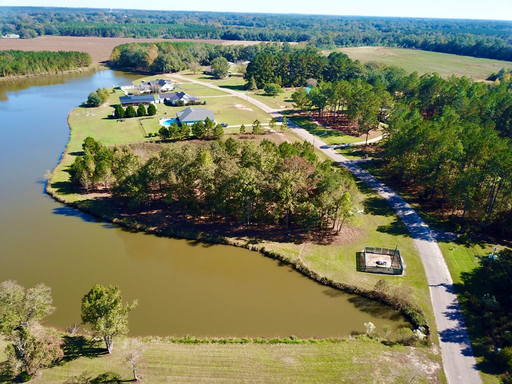 1.327 Acres Crimson Rd, Cowarts, Alabama image 12