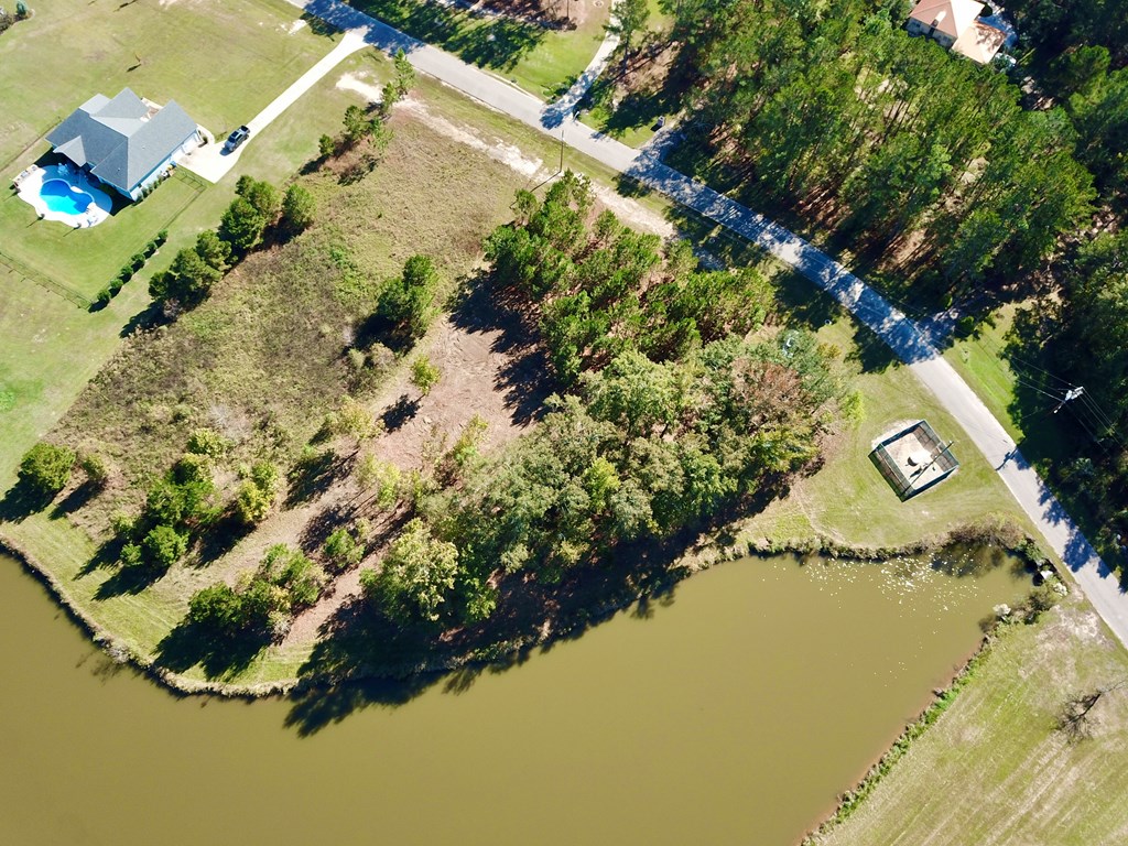 1.327 Acres Crimson Rd, Cowarts, Alabama image 11