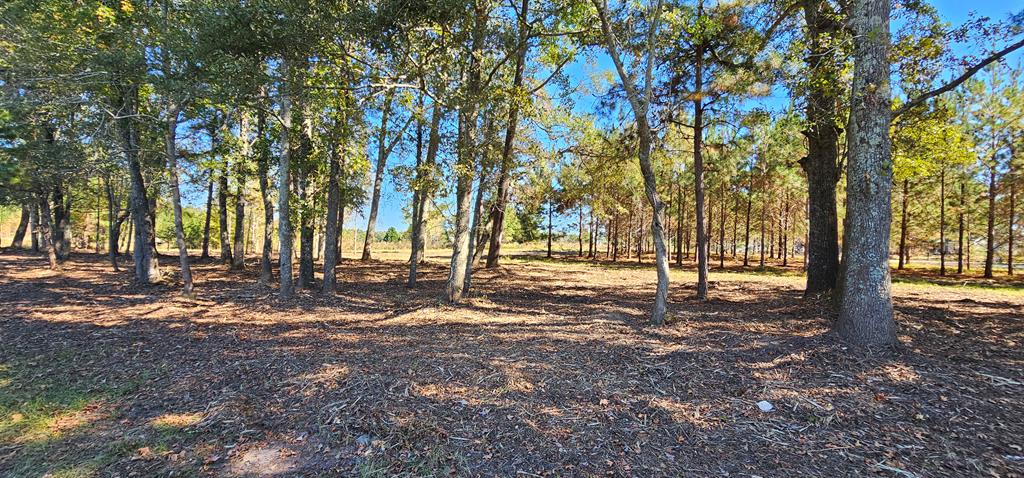 1.327 Acres Crimson Rd, Cowarts, Alabama image 23