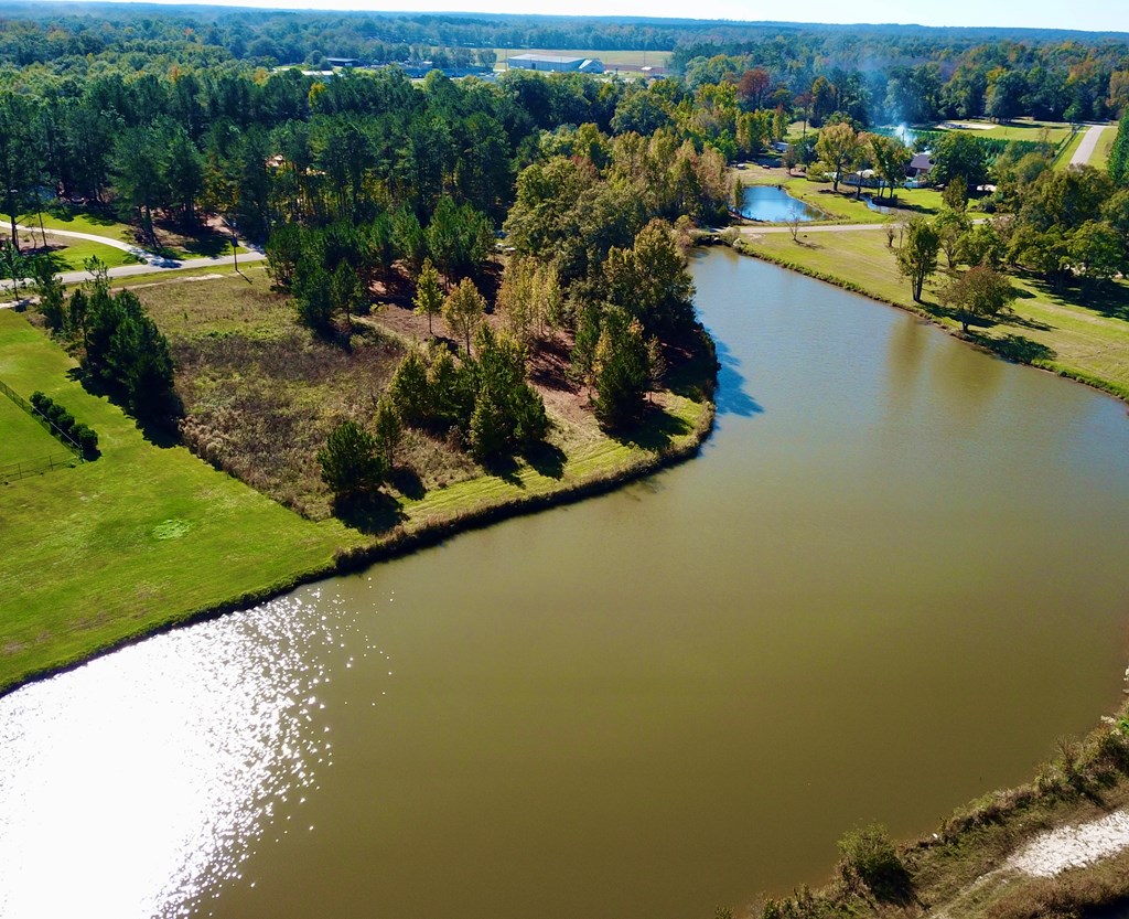 1.327 Acres Crimson Rd, Cowarts, Alabama image 6