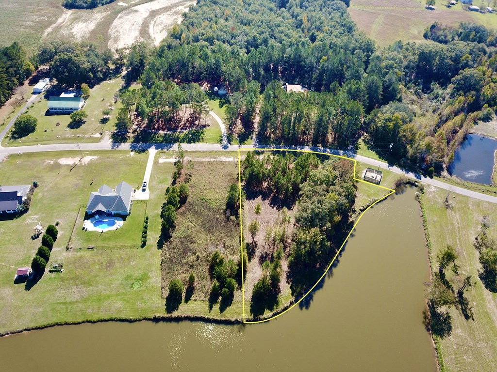 1.327 Acres Crimson Rd, Cowarts, Alabama image 5