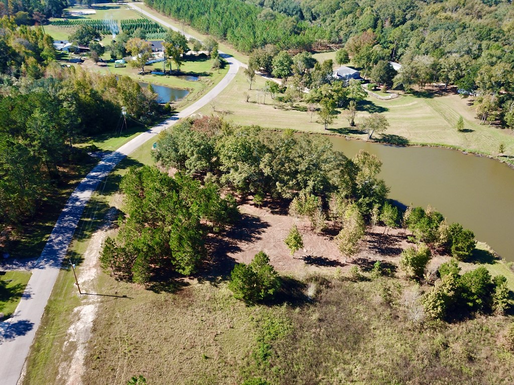 1.327 Acres Crimson Rd, Cowarts, Alabama image 8