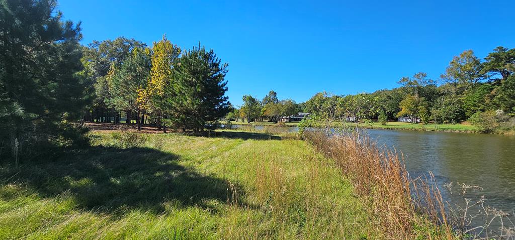 1.327 Acres Crimson Rd, Cowarts, Alabama image 19
