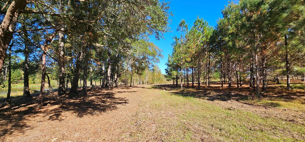 1.327 Acres Crimson Rd, Cowarts, Alabama image 22