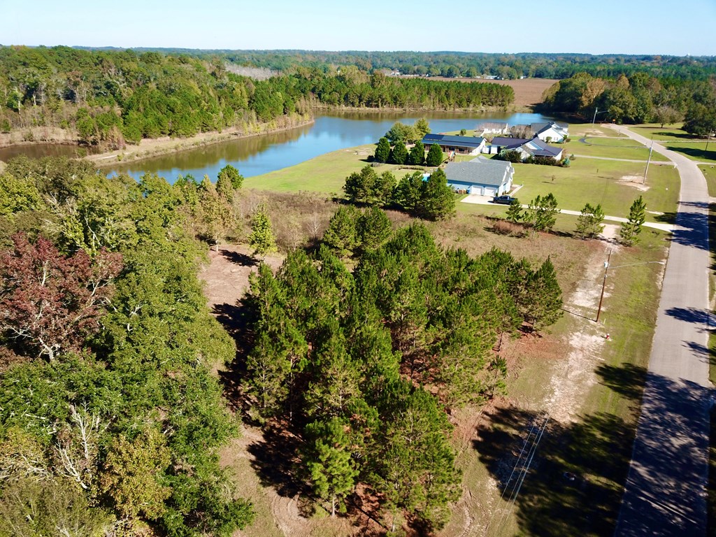 1.327 Acres Crimson Rd, Cowarts, Alabama image 9