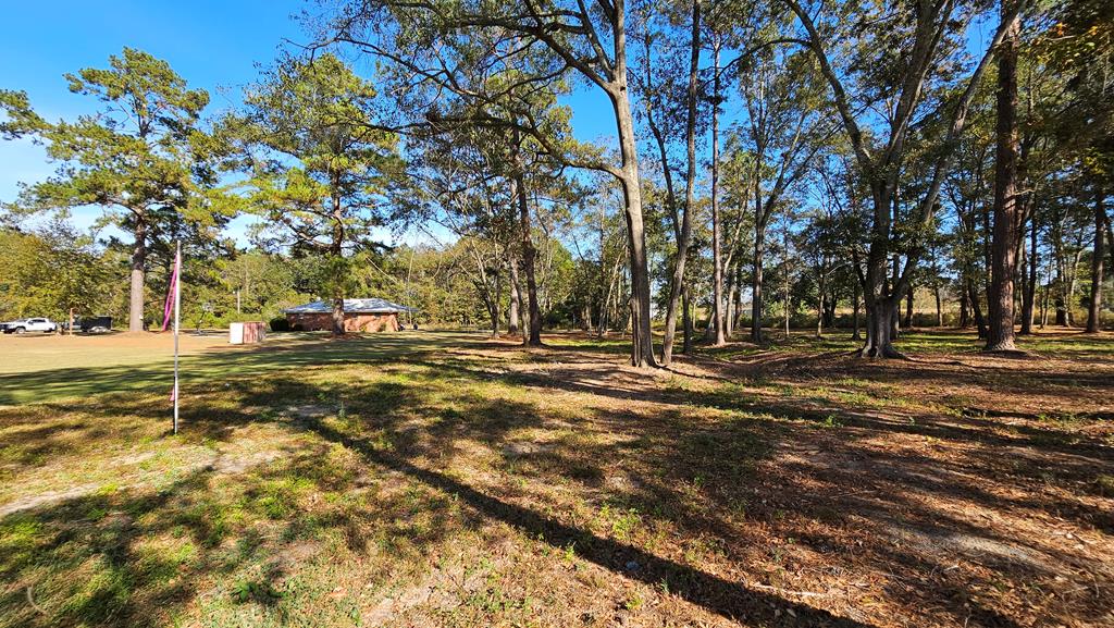 1.4 Acres Old Chipley Rd, Slocomb, Alabama image 9