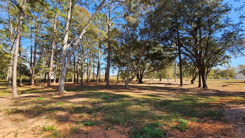 1.4 Acres Old Chipley Rd, Slocomb, Alabama image 19