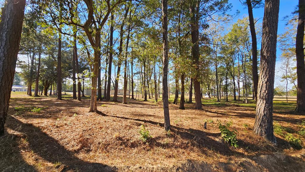 1.4 Acres Old Chipley Rd, Slocomb, Alabama image 27