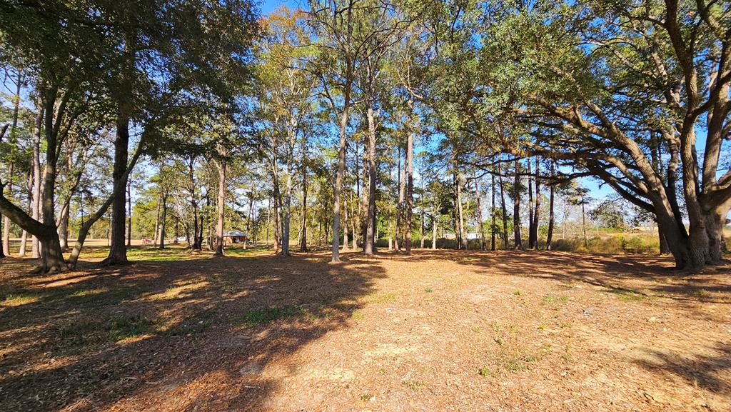 1.4 Acres Old Chipley Rd, Slocomb, Alabama image 24