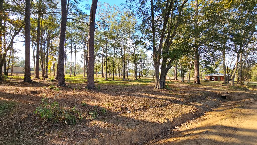 1.4 Acres Old Chipley Rd, Slocomb, Alabama image 16