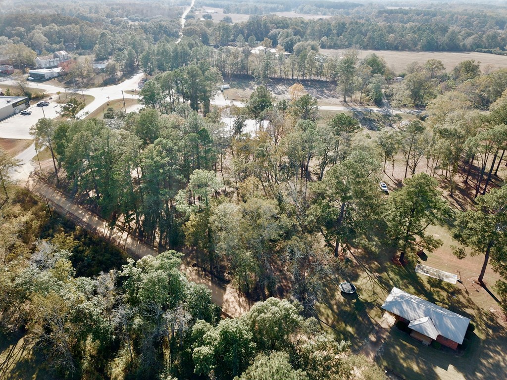 1.4 Acres Old Chipley Rd, Slocomb, Alabama image 49