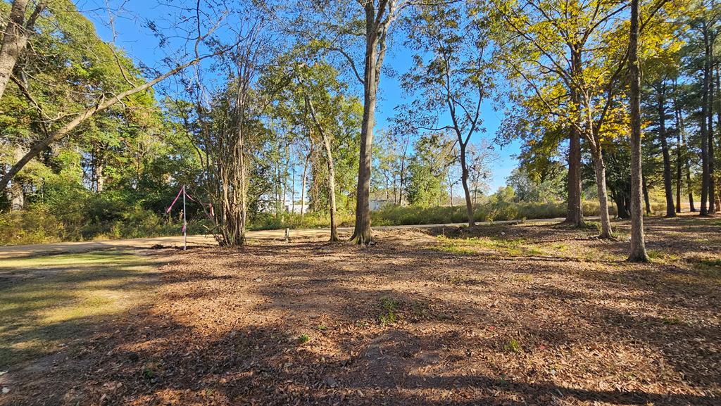 1.4 Acres Old Chipley Rd, Slocomb, Alabama image 11