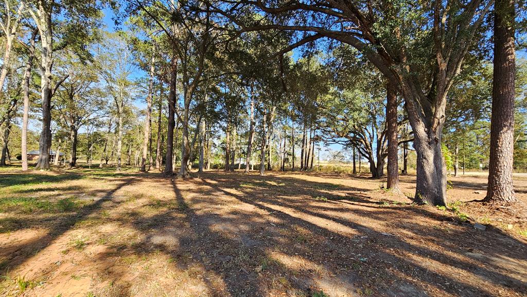 1.4 Acres Old Chipley Rd, Slocomb, Alabama image 5