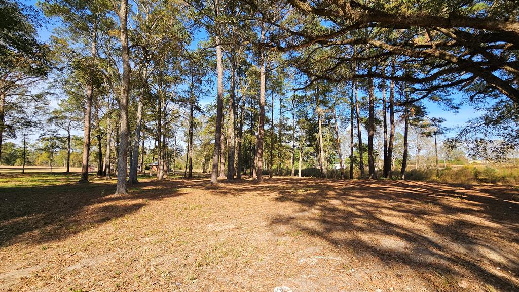 1.4 Acres Old Chipley Rd, Slocomb, Alabama image 33