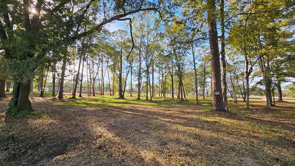 1.4 Acres Old Chipley Rd, Slocomb, Alabama image 14