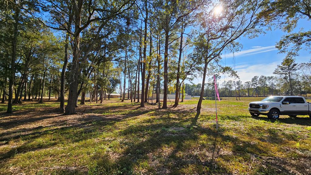 1.4 Acres Old Chipley Rd, Slocomb, Alabama image 29