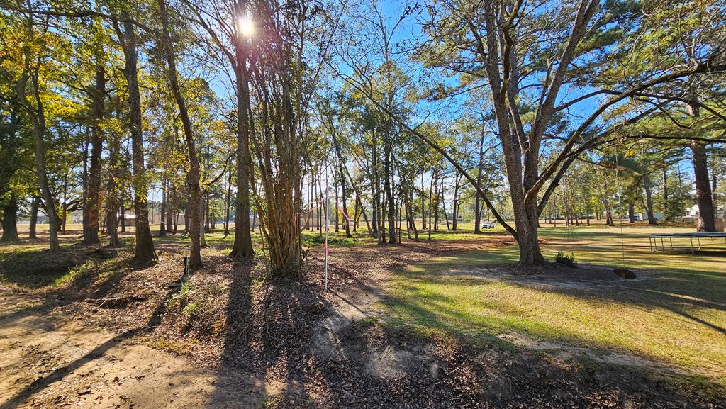 1.4 Acres Old Chipley Rd, Slocomb, Alabama image 13