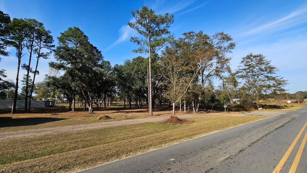 1.4 Acres Old Chipley Rd, Slocomb, Alabama image 7