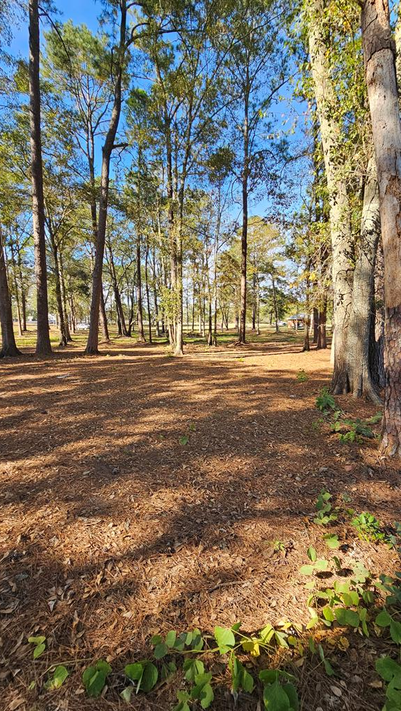 1.4 Acres Old Chipley Rd, Slocomb, Alabama image 22