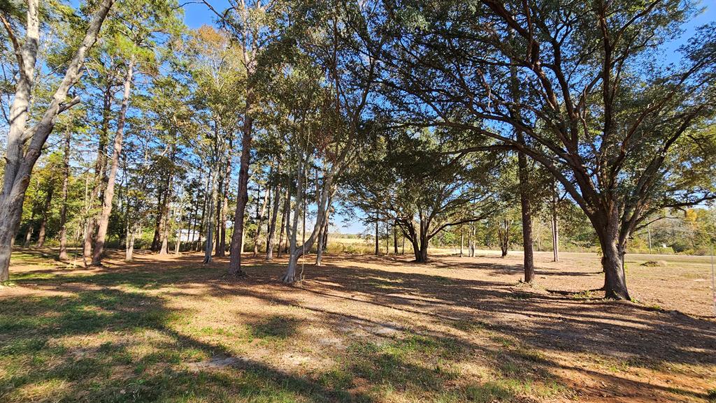 1.4 Acres Old Chipley Rd, Slocomb, Alabama image 21