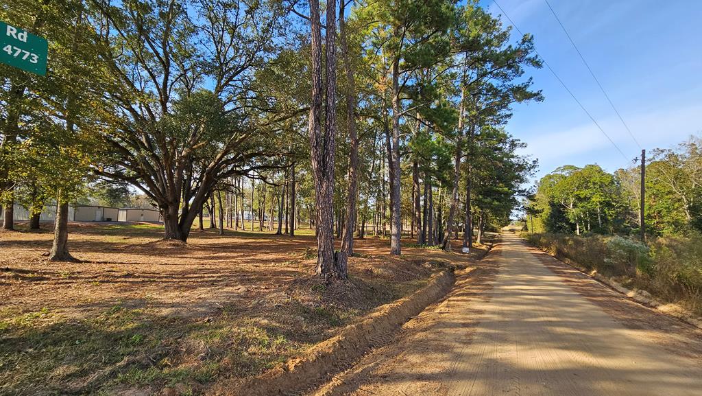 1.4 Acres Old Chipley Rd, Slocomb, Alabama image 6