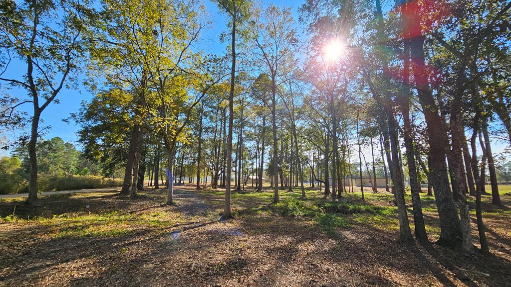 1.4 Acres Old Chipley Rd, Slocomb, Alabama image 12