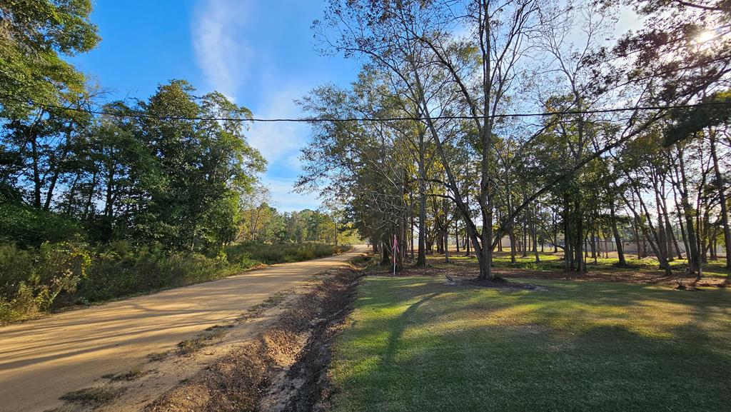 1.4 Acres Old Chipley Rd, Slocomb, Alabama image 8