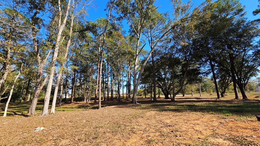 1.4 Acres Old Chipley Rd, Slocomb, Alabama image 25