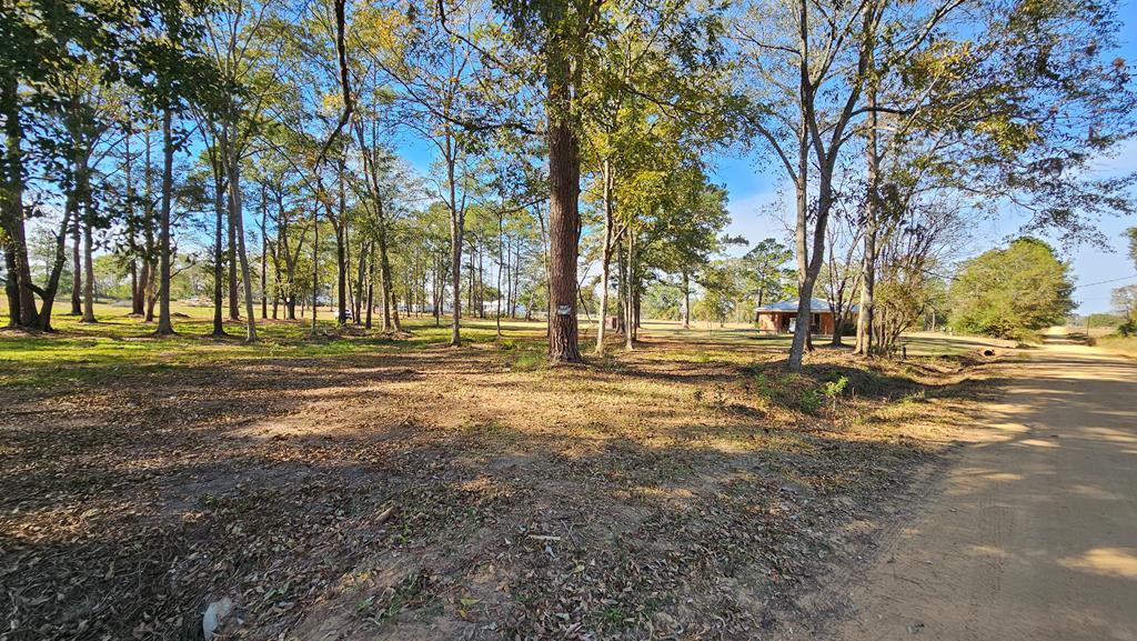 1.4 Acres Old Chipley Rd, Slocomb, Alabama image 2