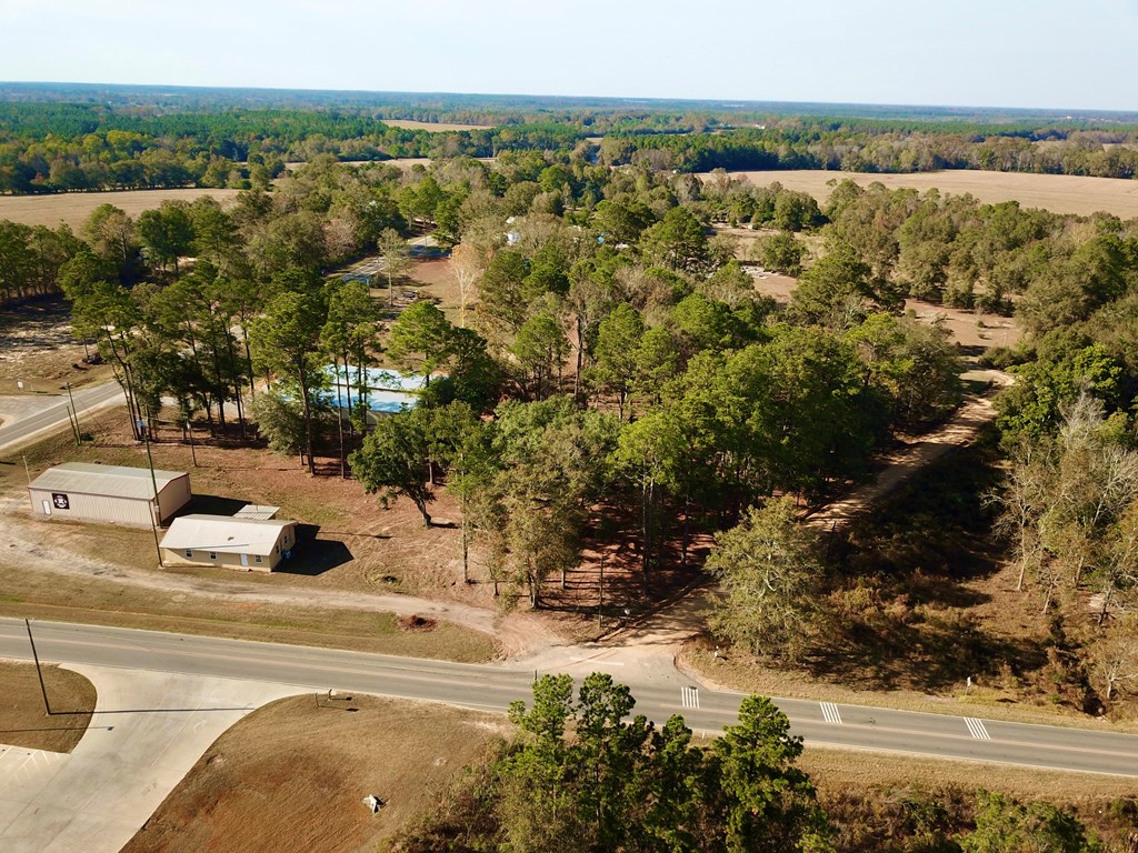 1.4 Acres Old Chipley Rd, Slocomb, Alabama image 45