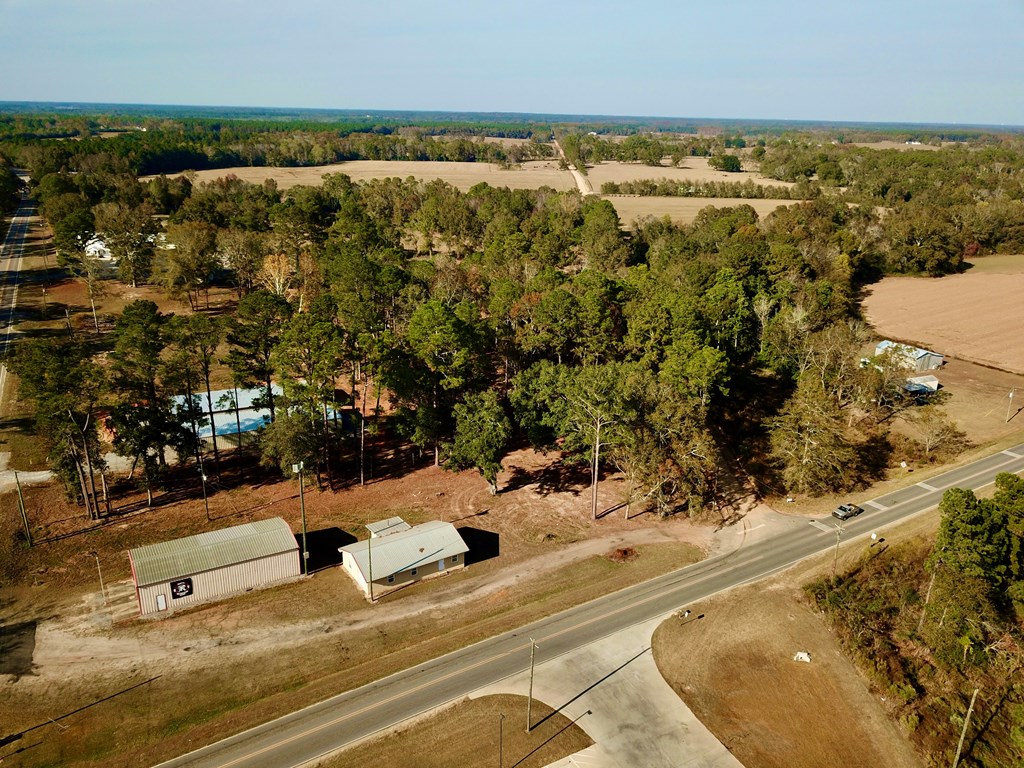 1.4 Acres Old Chipley Rd, Slocomb, Alabama image 38