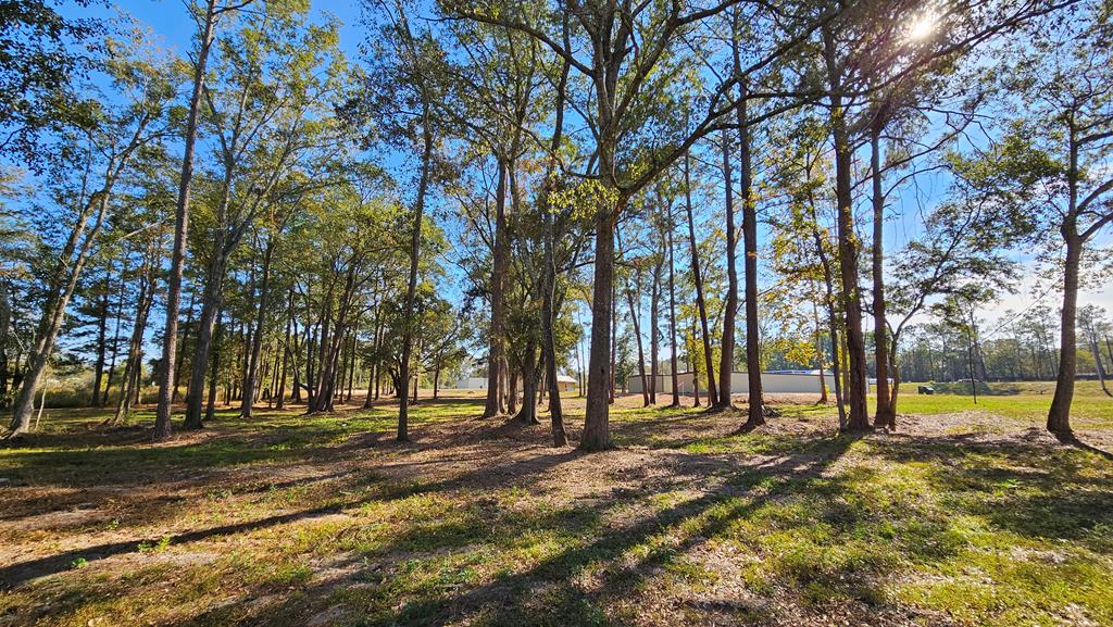 1.4 Acres Old Chipley Rd, Slocomb, Alabama image 28