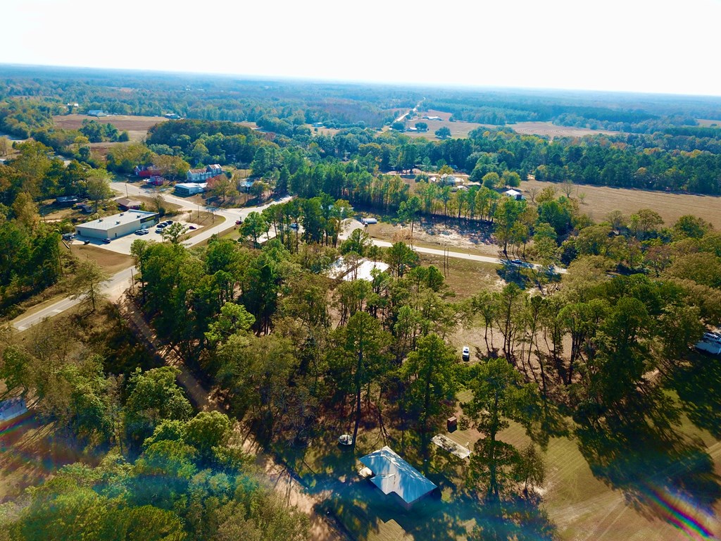 1.4 Acres Old Chipley Rd, Slocomb, Alabama image 37