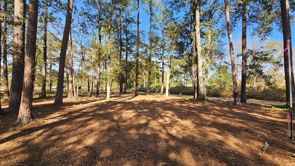 1.4 Acres Old Chipley Rd, Slocomb, Alabama image 23