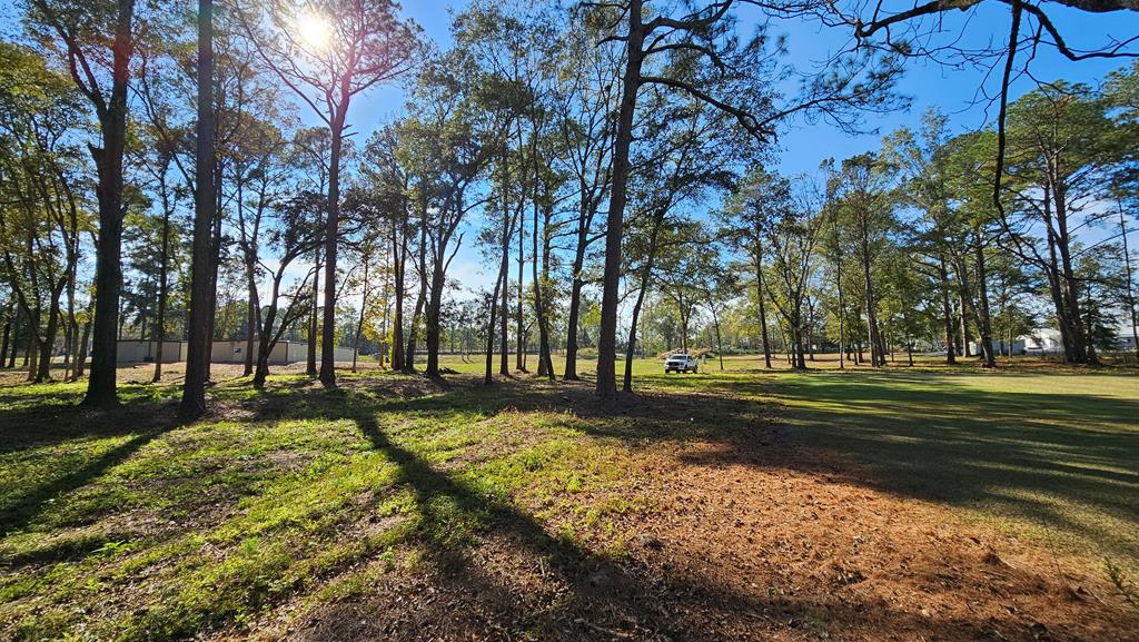 1.4 Acres Old Chipley Rd, Slocomb, Alabama image 15