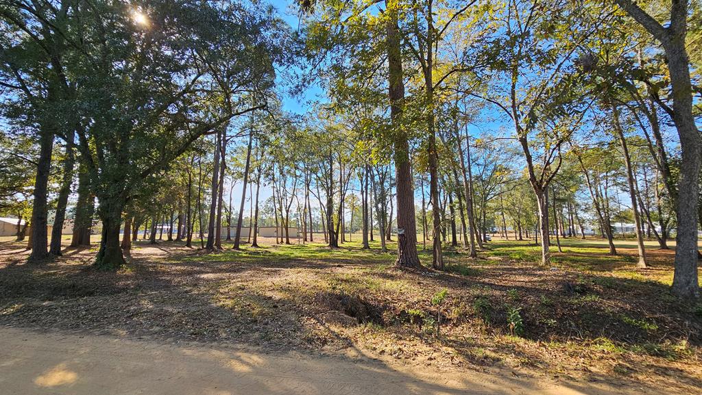 1.4 Acres Old Chipley Rd, Slocomb, Alabama image 34